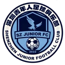深圳青年人